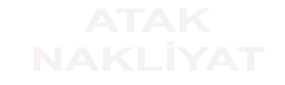 Logo footer